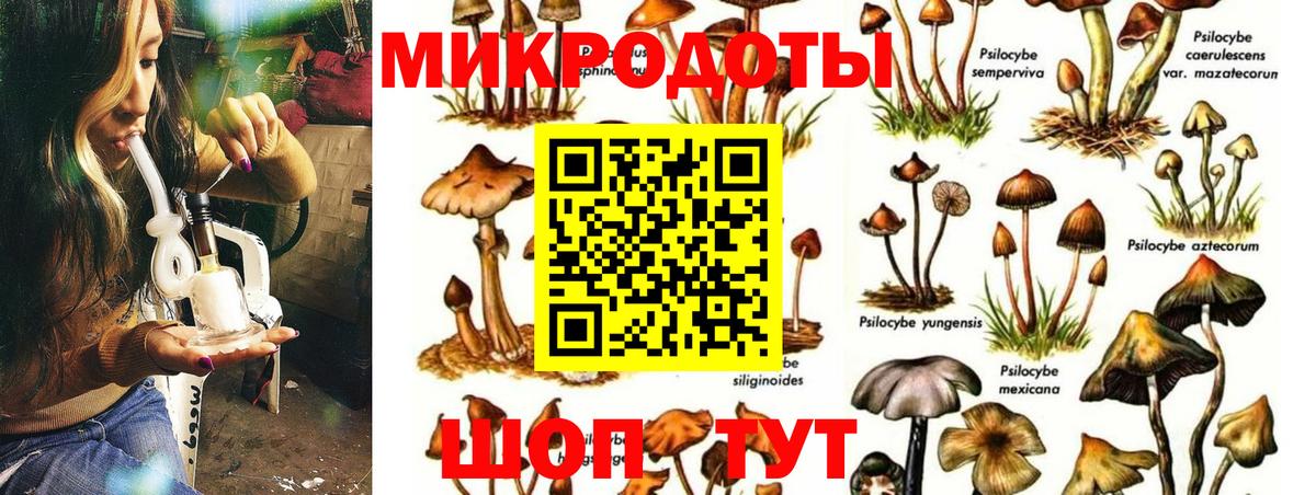 Псилоцибиновые грибы ЛСД Кирово-Чепецк