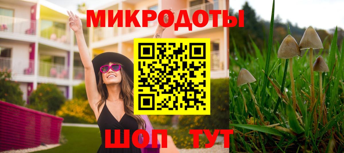 Кирово-Чепецк  Галлюциногенные грибы Cubensis  Галлюциногенные грибы мухоморы  Вход с VPN 