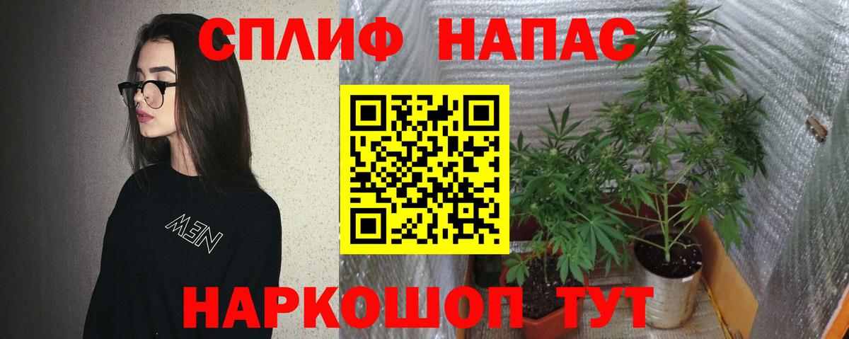 Марихуана White Widow  Марихуана THC 21%  Бошки марихуана LSD WEED  Кирово-Чепецк  Вход с VPN  Конопля планчик 